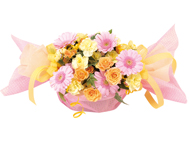 �A�j�o�[�T���[�t�����[