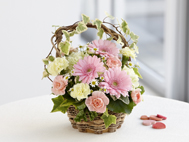 �A�j�o�[�T���[�t�����[