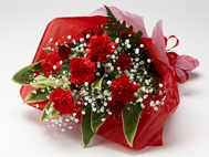 �A�j�o�[�T���[�t�����[