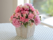 �A�j�o�[�T���[�t�����[