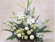 4.�u�������̉ԁv