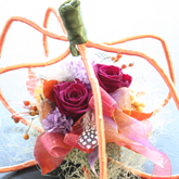 �v���U�[�u�h�t�����[