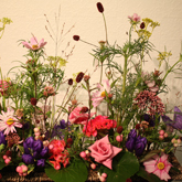 �A�����W�����g